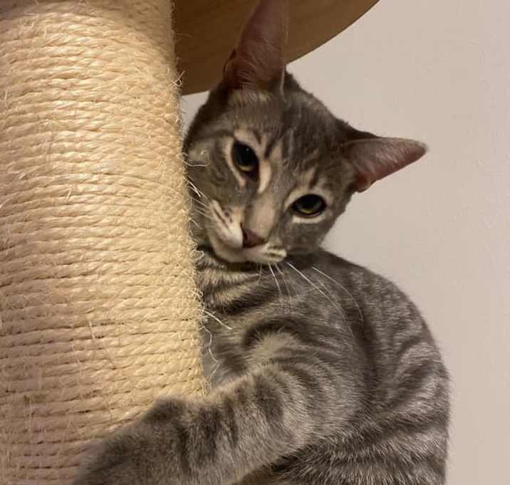 Photo of Bella 3