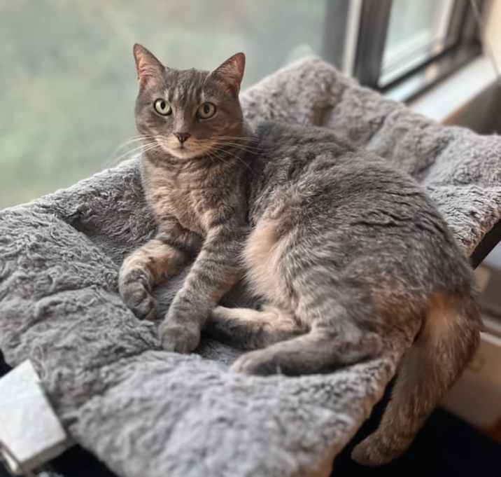 Photo of Cutie Mila