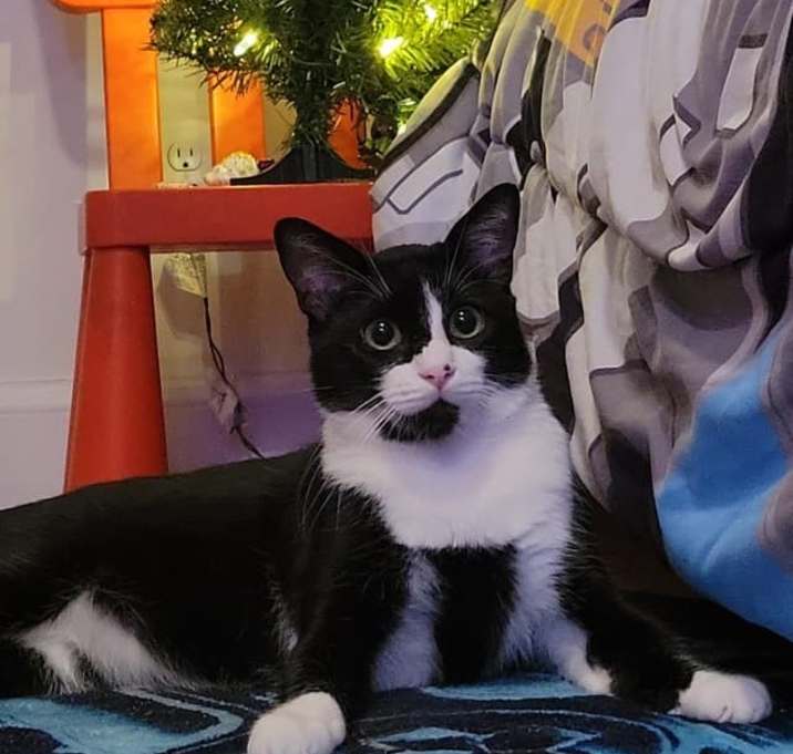 Photo of Jet
