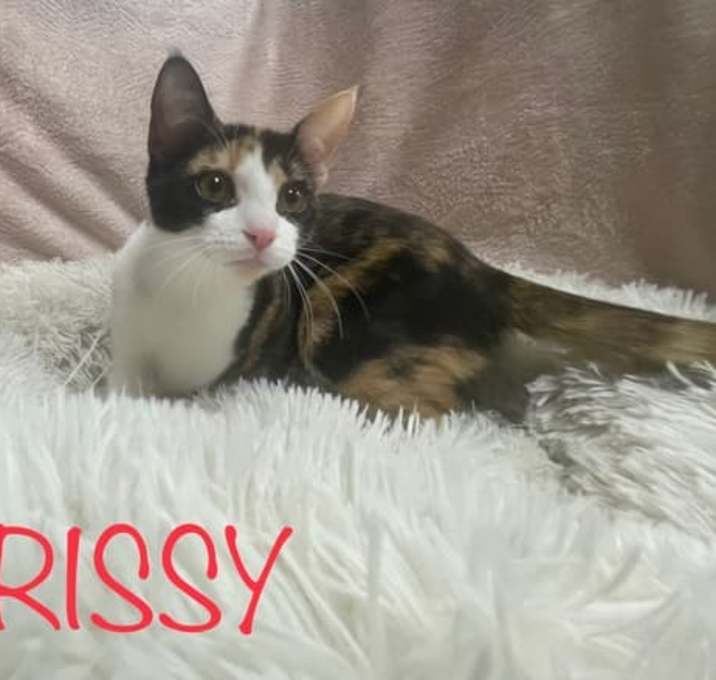 Photo of Chrissy
