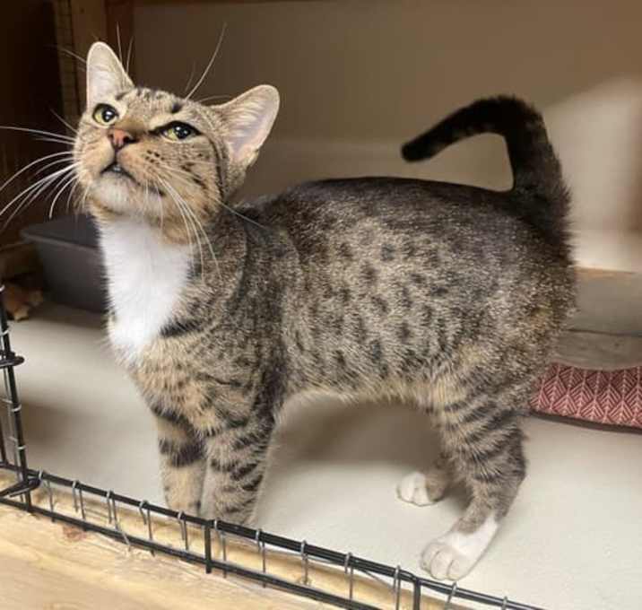 Photo of Tiny