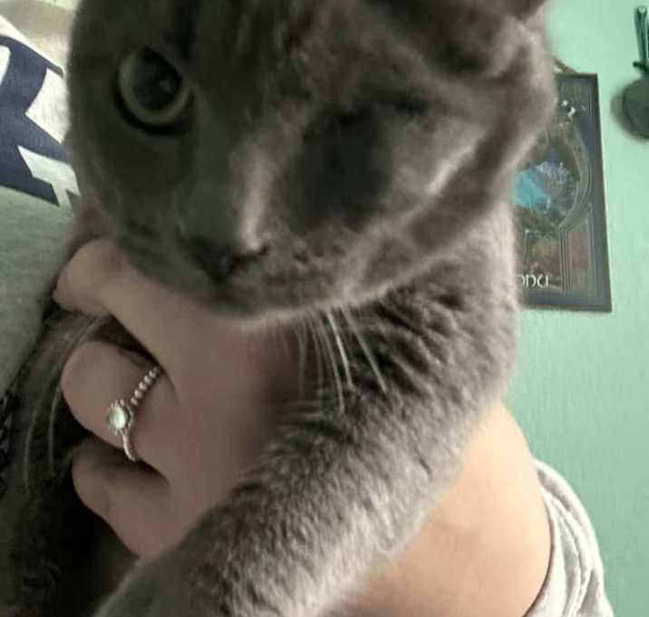 Photo of Blinky