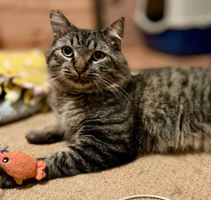 Photo of Morty