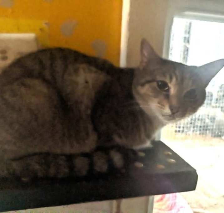 Photo of Aspen