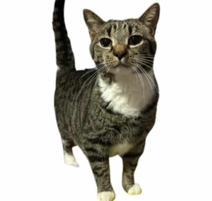 Photo of Bernie