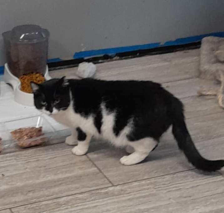Photo of Wilma