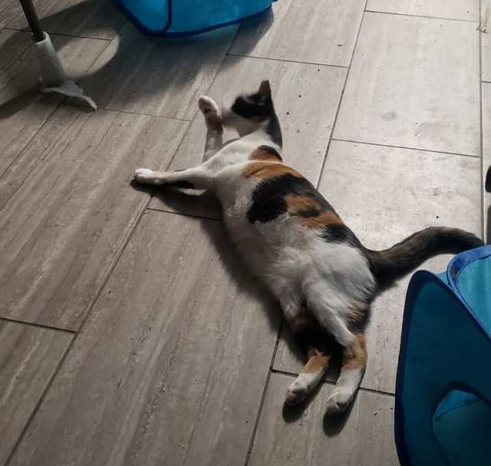 Photo of Mimi