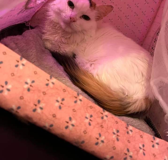 Photo of Muffy