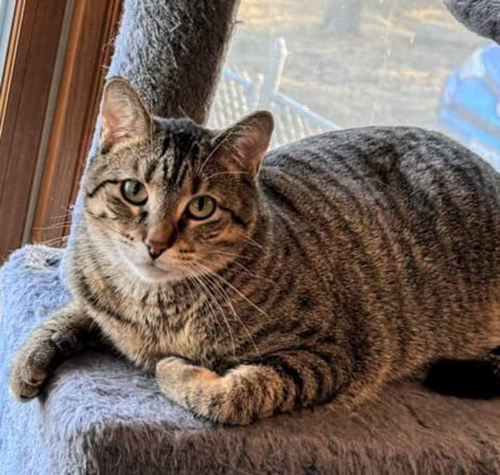 Photo of Pepper