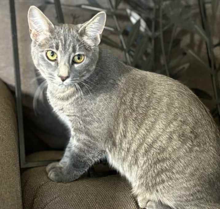 Photo of Briar