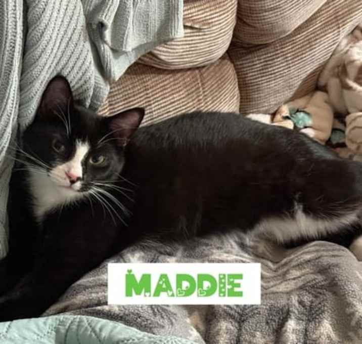 Photo of Maddie