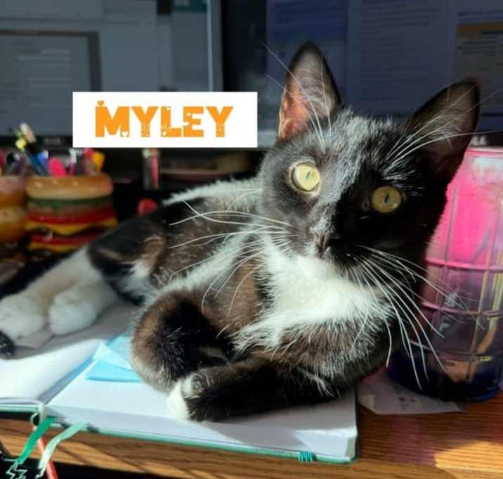 Photo of Myley