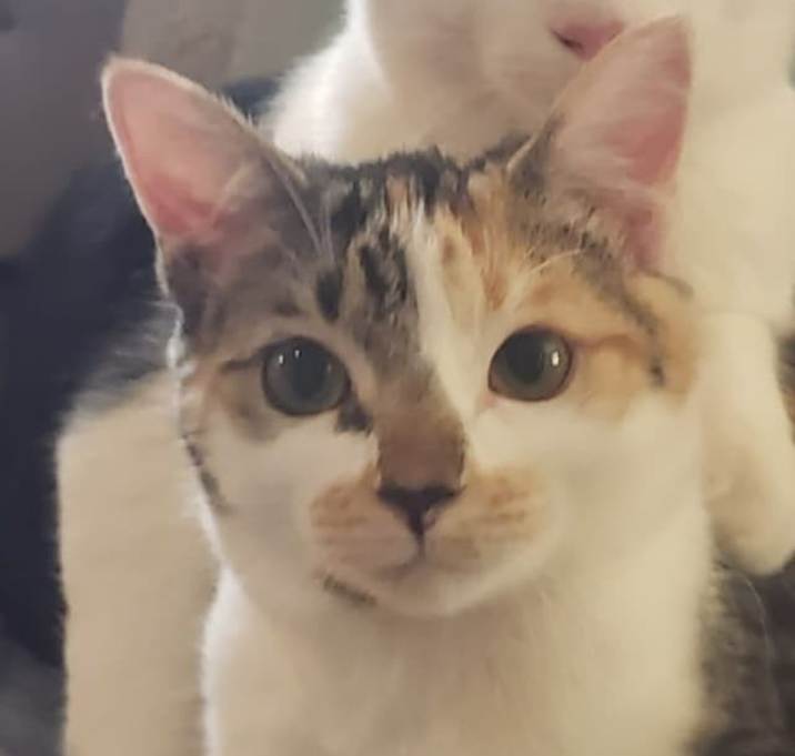 Photo of George and Nora