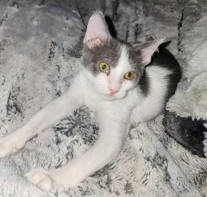 Photo of Gigi