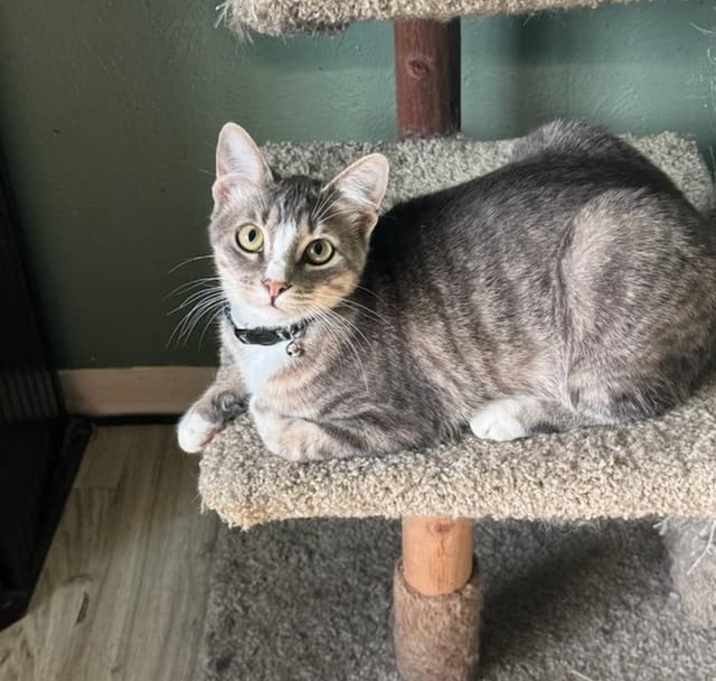 Photo of Jenny