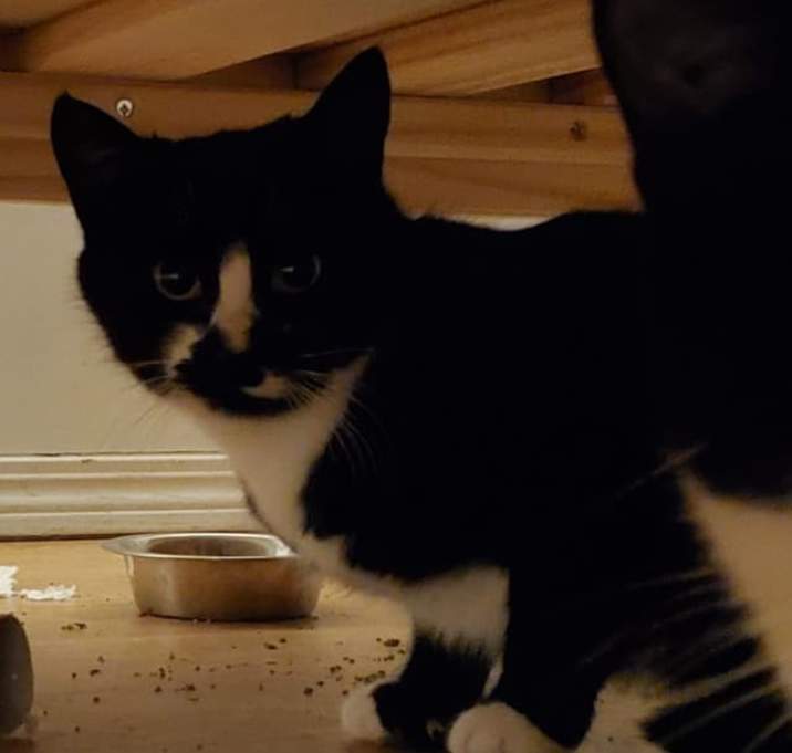 Photo of Theo