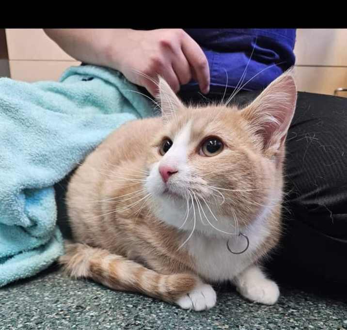 Photo of Scratch
