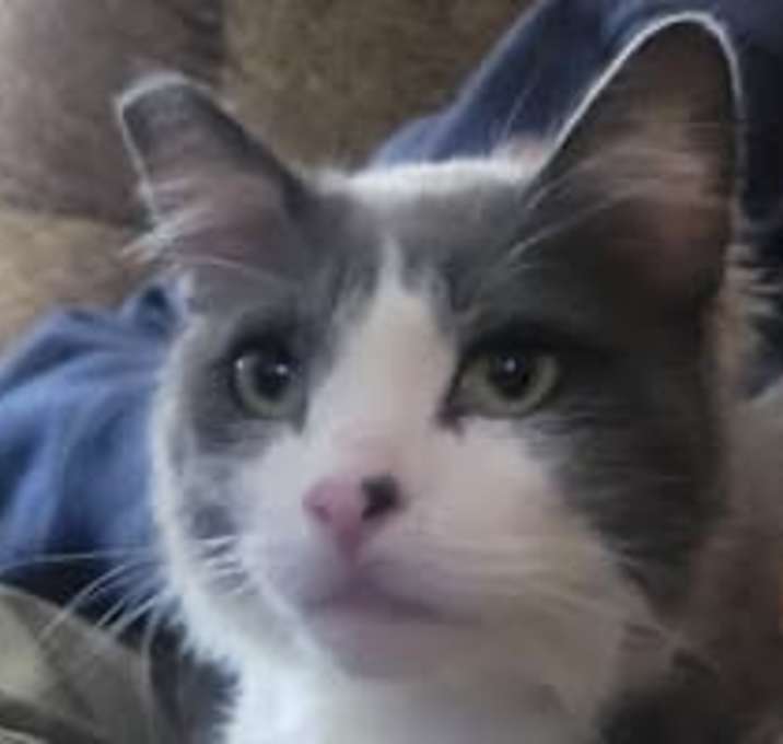 Photo of Sebastian
