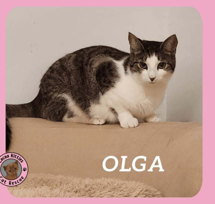 Photo of Olga