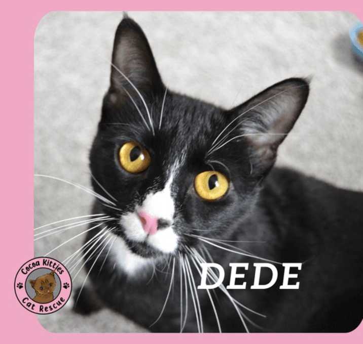 Photo of DeDe