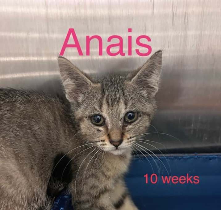 Photo of Anais