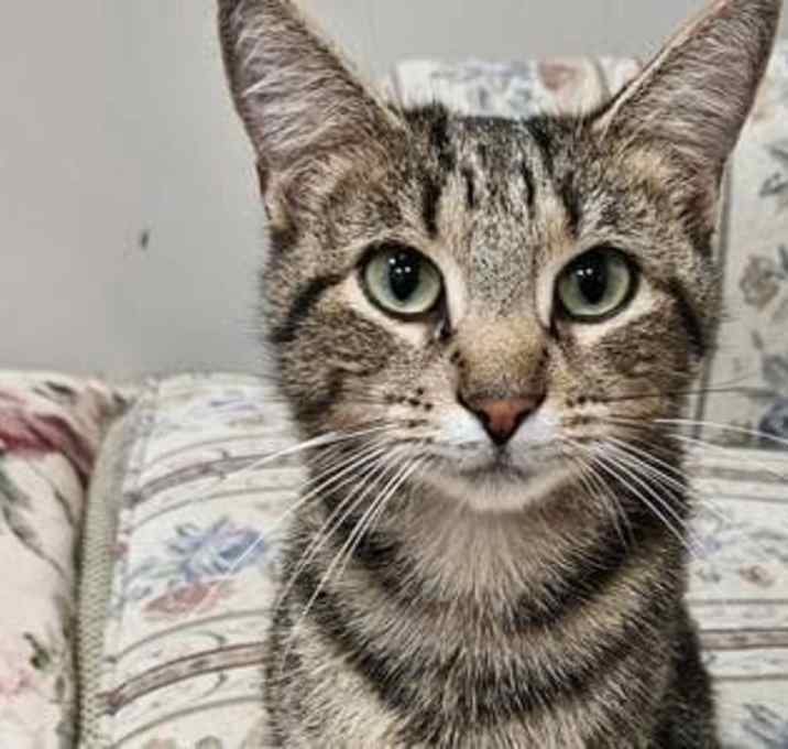 Photo of Beverly