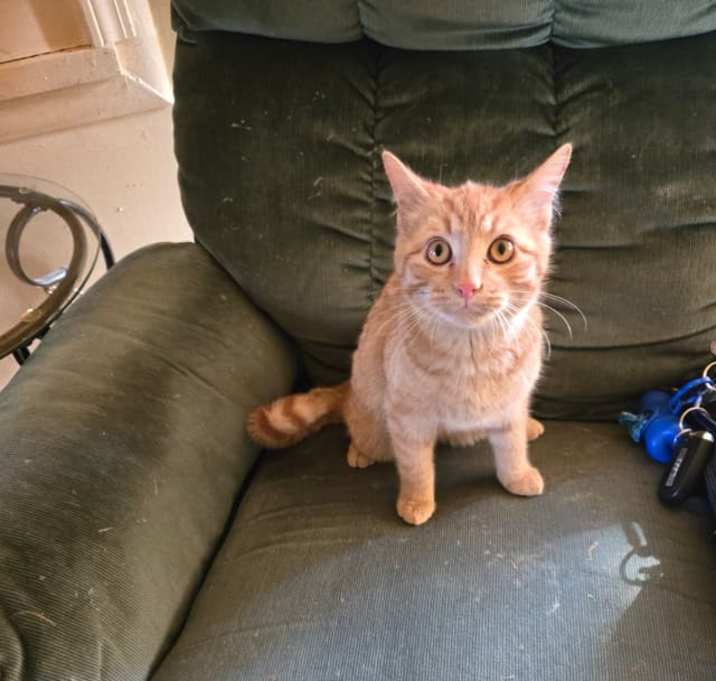 Photo of Clarence