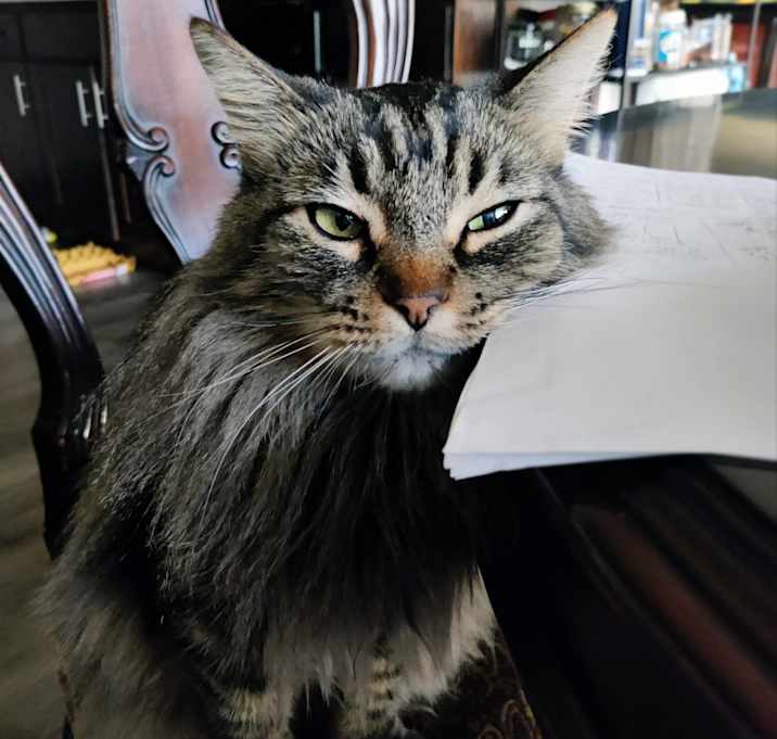Photo of Storm