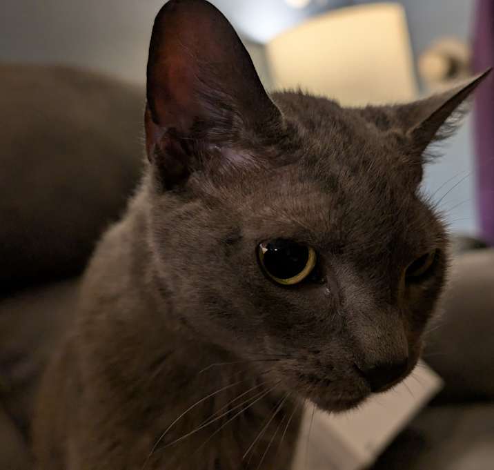 Photo of Twilight
