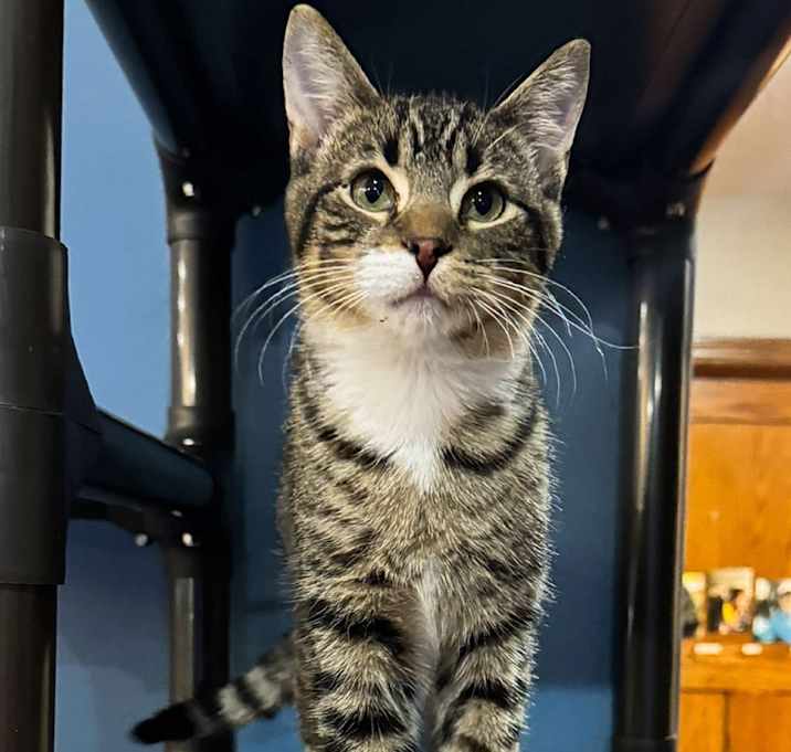 Photo of Axel