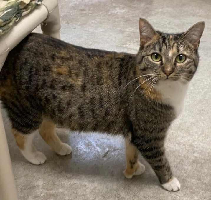 Photo of Polly
