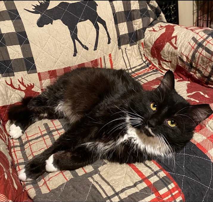 Photo of Hamish (pending)