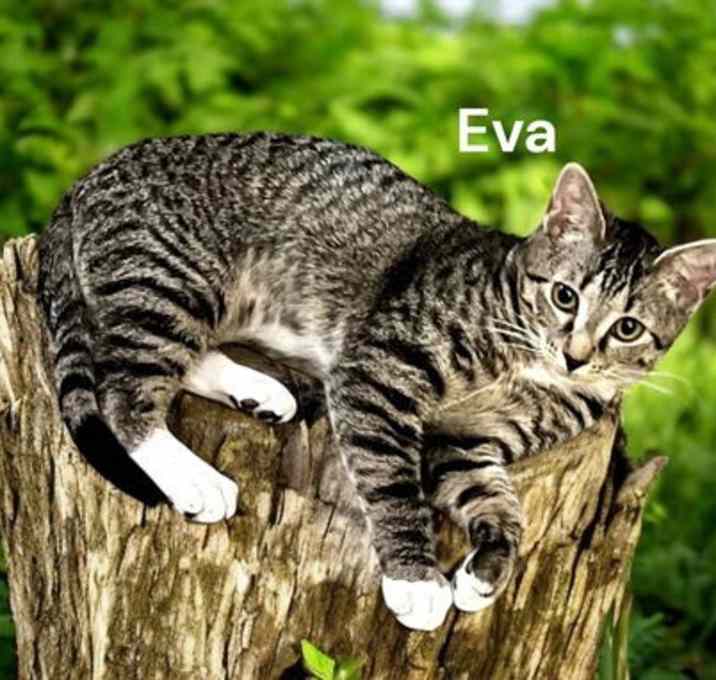 Photo of Eva