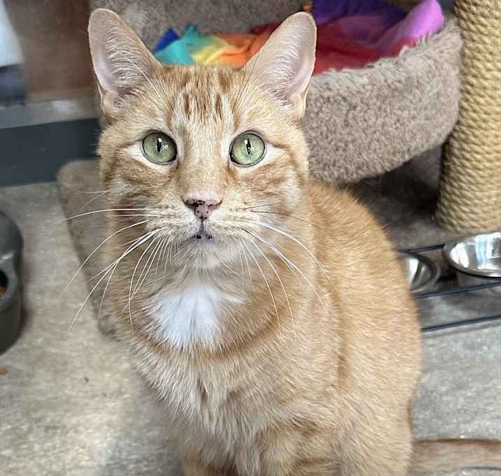 Photo of Harley