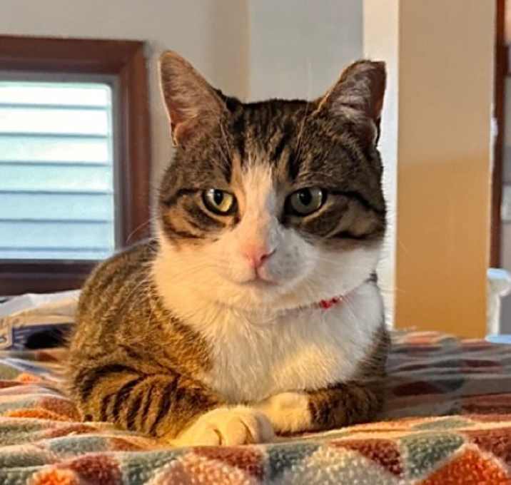 Photo of Lovey