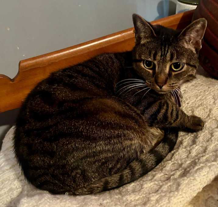 Photo of Maggie