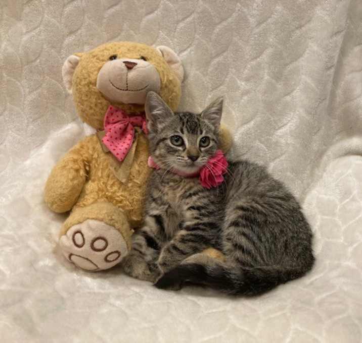 Photo of Stormy