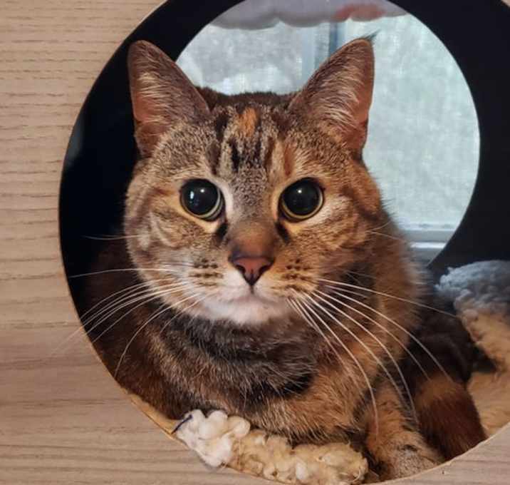 Photo of Holley