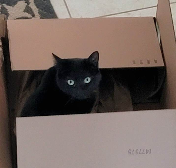 Photo of Ember