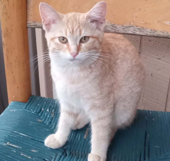 Photo of Olivia