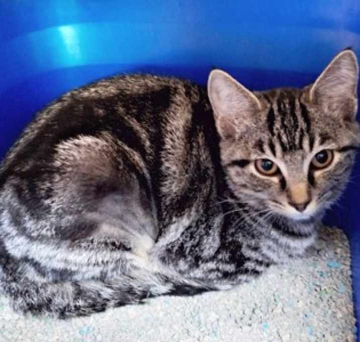 Photo of Nakita