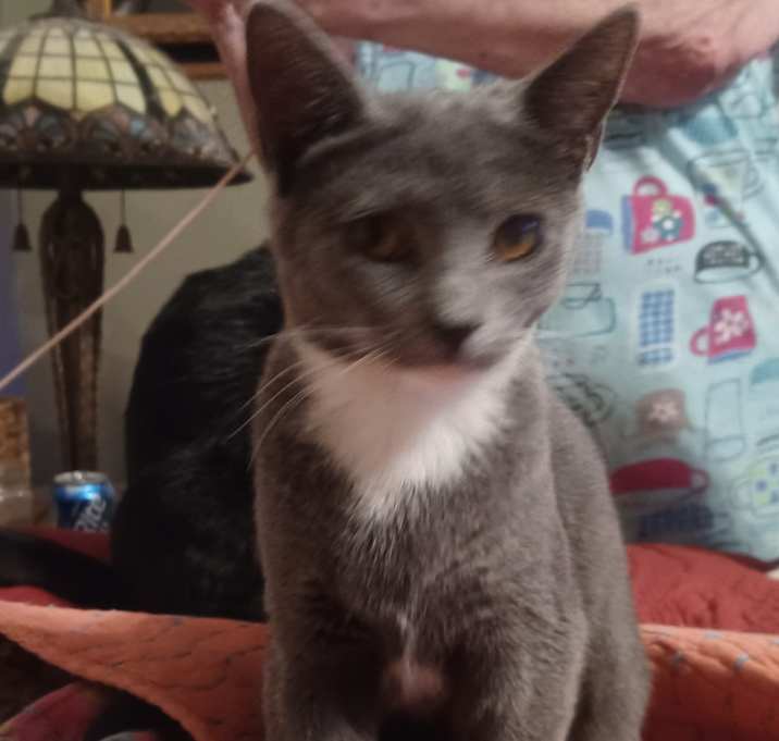 Photo of Natasha