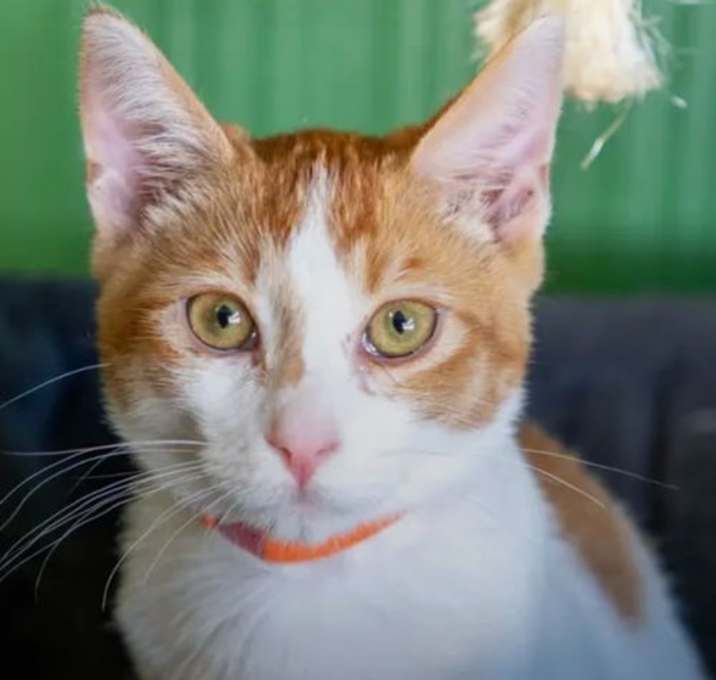 Photo of Sam