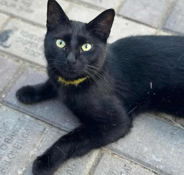 Photo of Beatrix