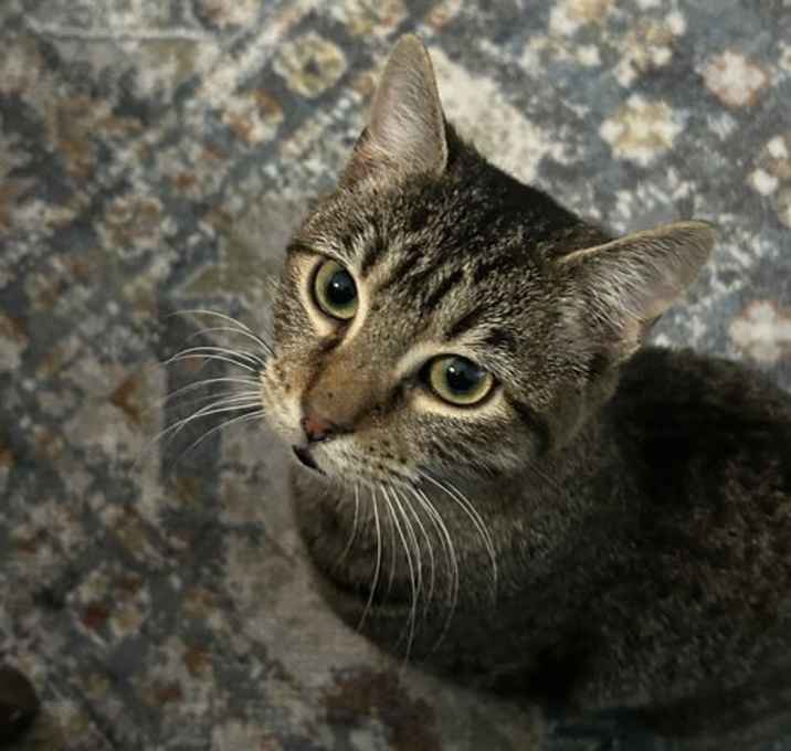 Photo of Risu