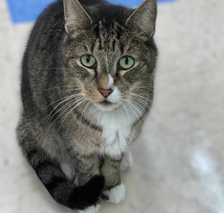 Photo of Marcus