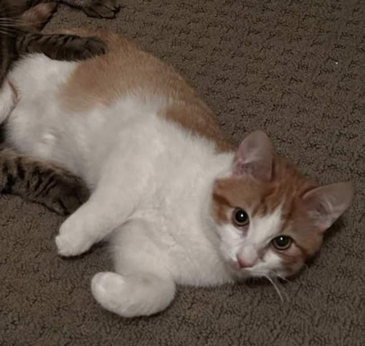 Photo of Oatmeal