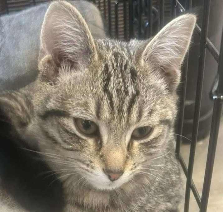 Photo of Johnny