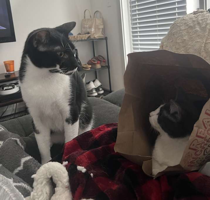 Photo of Quila and Tito