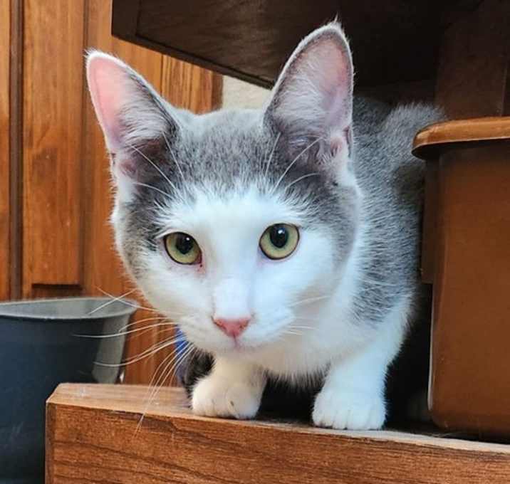 Photo of Sam